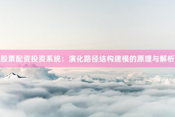 股票配资投资系统:演化路径结构建模的原理与解析