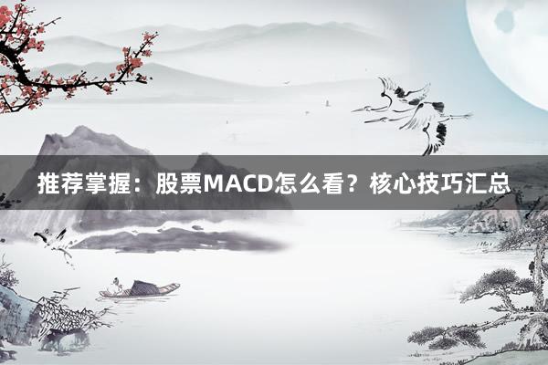 推荐掌握：股票MACD怎么看？核心技巧汇总